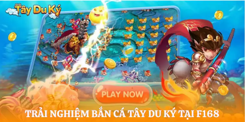 ban-ca-tay-du-ky-gioi-thieu