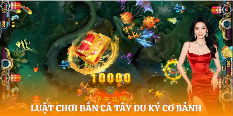 ban-ca-tay-du-ky-luat-choi