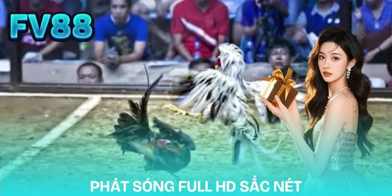 da-ga-fv88-cong-nghe-phat-song-full-hd-sac-net