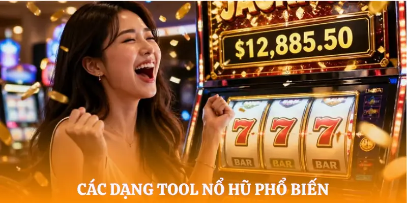tool-no-hu-top-phan-mem